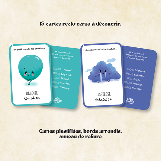 Mon imagier des émotions